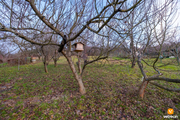 chatka-s-pozemkom_20