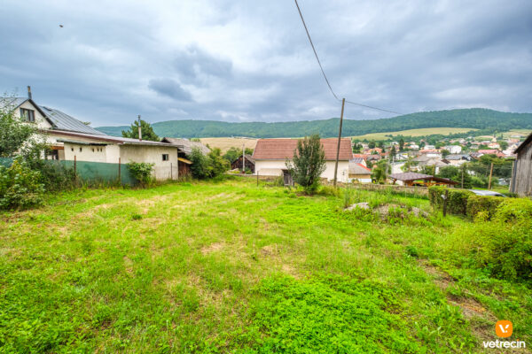 dom-vitaz_2025_01