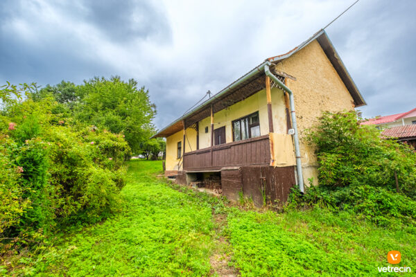 dom-vitaz_2025_06