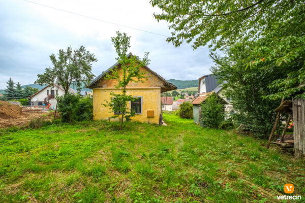 dom-vitaz_2025_07