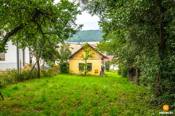 dom-vitaz_2025_08