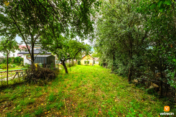 dom-vitaz_2025_09